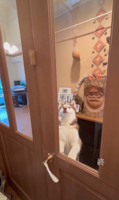 ドアを開けるシンプソンちゃん⑩