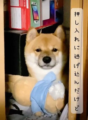 「怖くなんかないよ」
