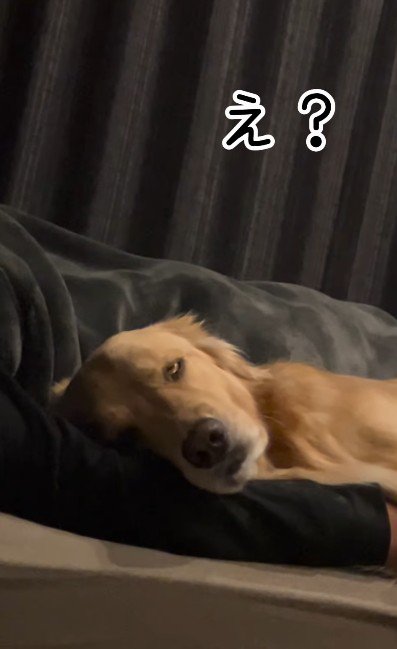 驚愕の寝顔に爆笑！！