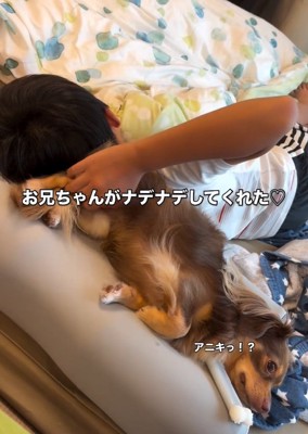アムくんをなでるお兄ちゃん