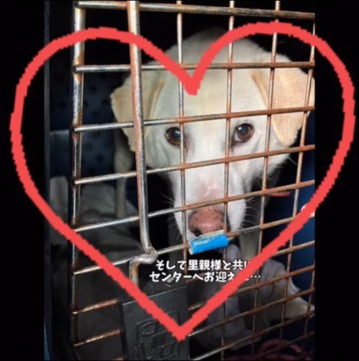 三郎くんが幸せを掴むまで7