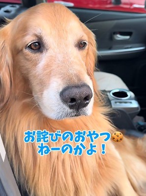 「ちょっと移動してね」