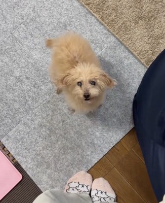 「おかえり!!」