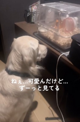 通じ合ってる？