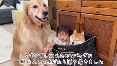 五右衛門風呂かな?