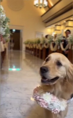 リングドッグに挑戦するジャックくん5