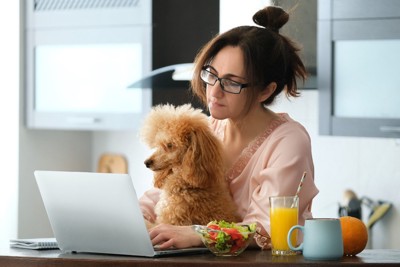犬と一緒にPCのモニタを見つめる女性