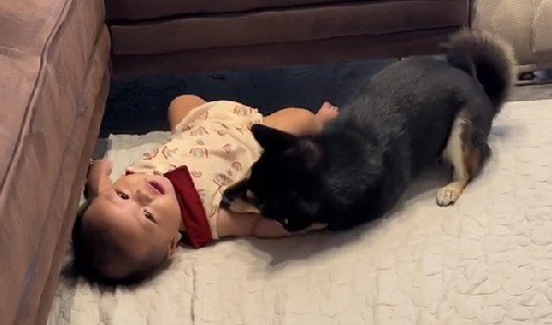 頼もしいお姉ちゃんになりそう！