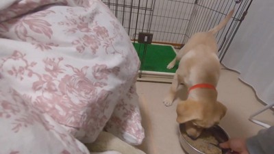 すんなり外へ♪