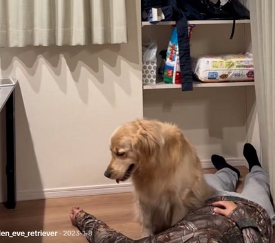 心配するイヴちゃん