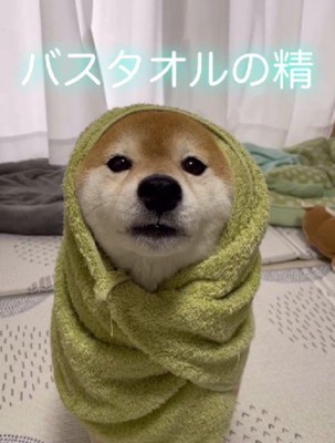 バスタオルの妖精