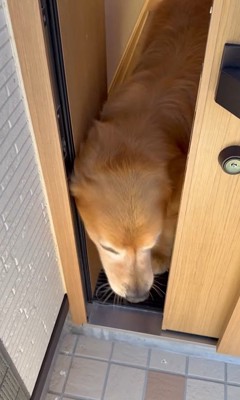 お手伝いするホット君2