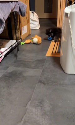 明るいところは平気♪