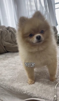 ネガティブな話も…