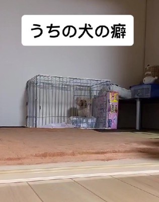 「悲しいお知らせって何?」