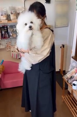 お別れをするエマくん