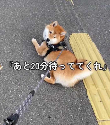 「あと20分待って」