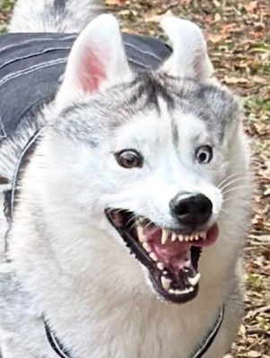 投稿主さんも思わず恐怖