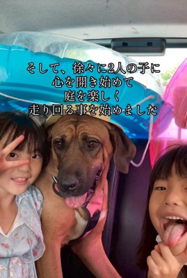 笑顔の犬と女の子たち