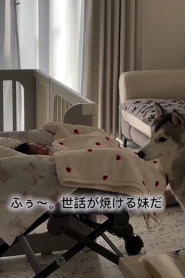 息をしているかチェック!