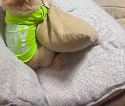 お散歩に誘ったら…