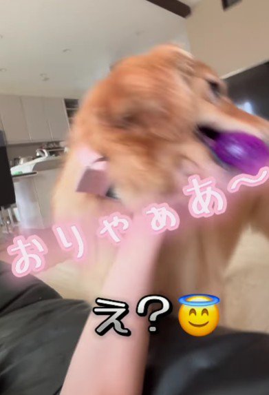 「もっとちゃんと遊んで!」