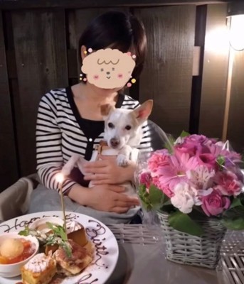 女性に抱っこされている犬とバースデープレート