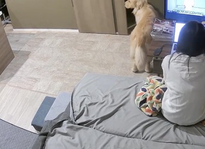 ドアを開けてみる