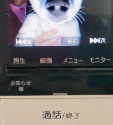 インターホンを見てみたら…