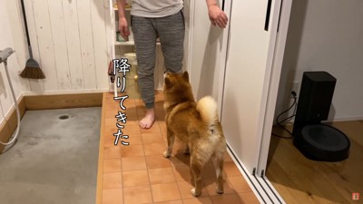 パパ来てくれた！！