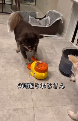 おやつを配るこげまる君