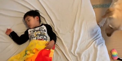 男の子を起こすバウくん