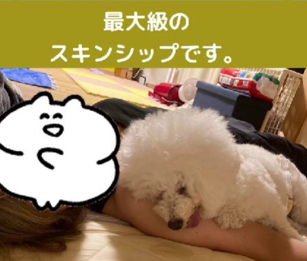 家族の絆に感動