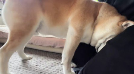 「寂しかったよ」