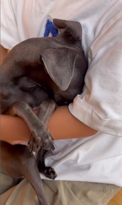 反省中のクッカちゃん4