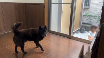 嬉しくて部屋の中をぐるぐる♪
