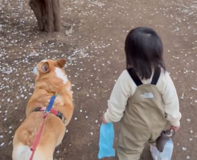 散歩する犬と女の子