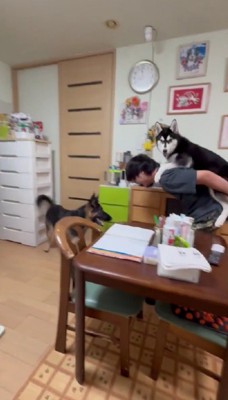 ニコニコでご満悦♡