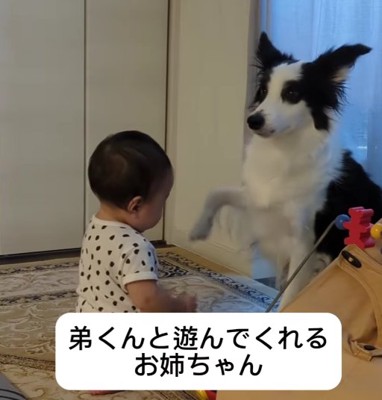 向かい合っている赤ちゃんと犬