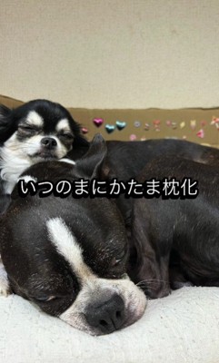 とっても穏やかな表情に…♡