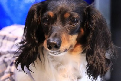 これからも幸せにね！！