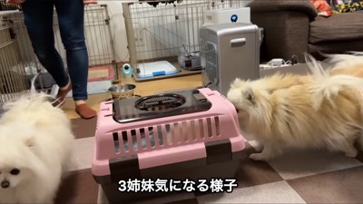 先輩たちとのご対面