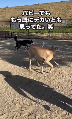 「すでにデカイ」