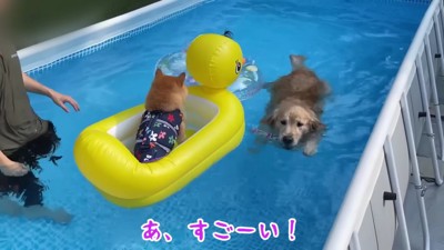 うにくんはボート