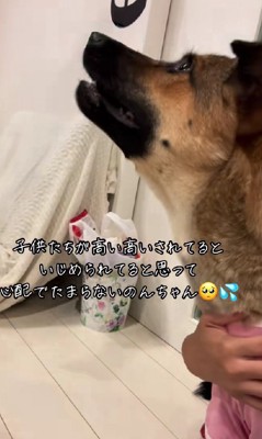 頼もしく愛おしいのんちゃんでした