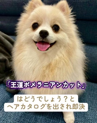 王道カットをオーダー