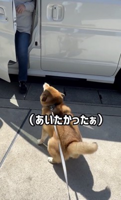 ばぁばが降りてきた