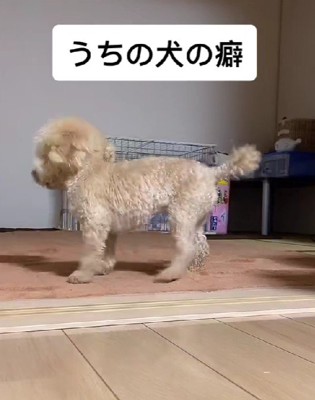 「悲しいお知らせがあります」