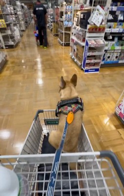 落ちてしまっても…