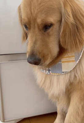 悲壮感は全開…